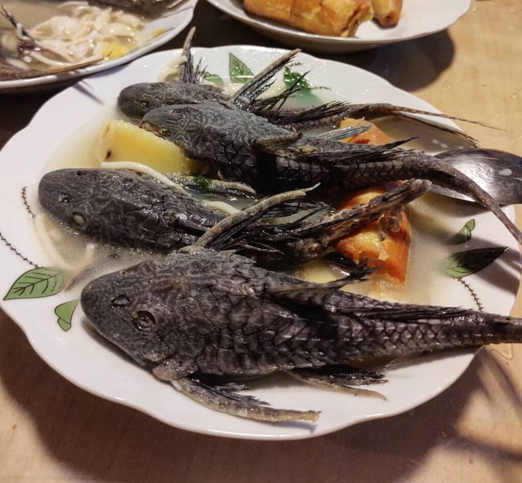 Caldo de Carachama Comidas Peruanas